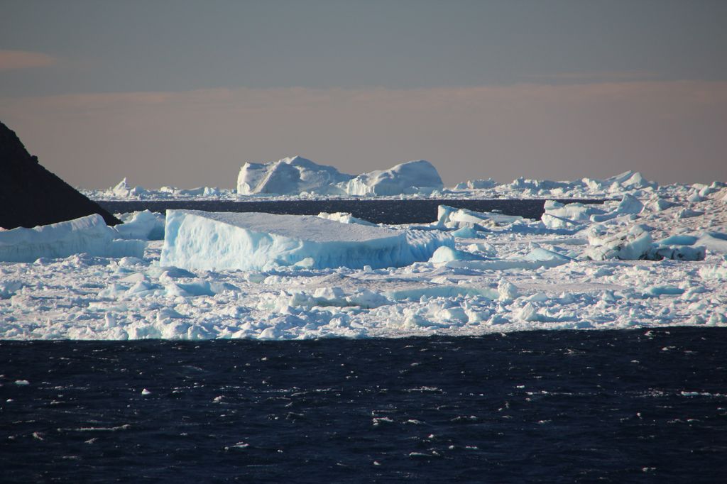 Pack Ice, Antarctic Sound