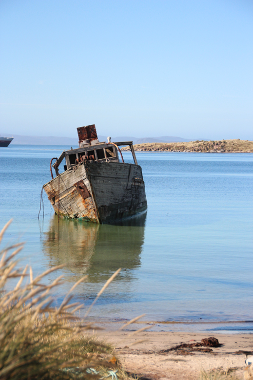New Island, West Falkland